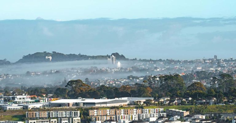 Kitchen Renovations Auckland – Transforming the Heart of Your Home